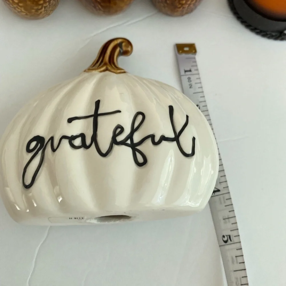 N/A thanksgiving decoration